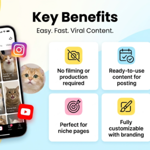 Funny Cat Videos Bundle