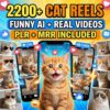 Viral Cat Reels Bundle