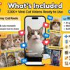 Viral Cat Reels Bundle - Image 2